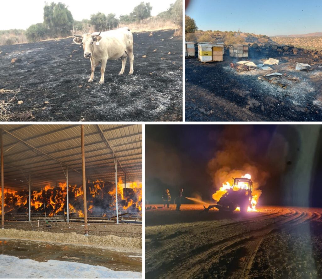 פשיעה ואלימות חקלאית